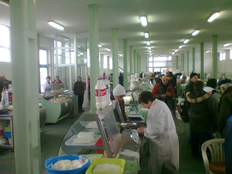 Галерија 2013