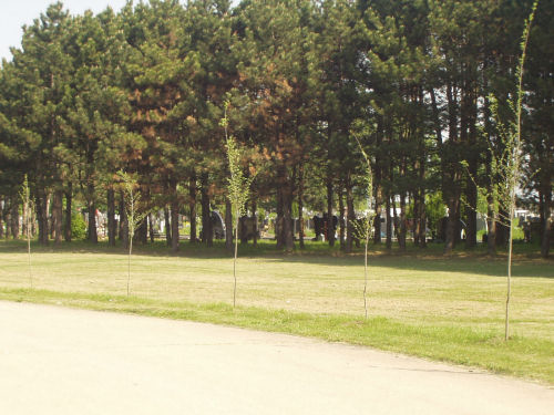 Галерија 2012