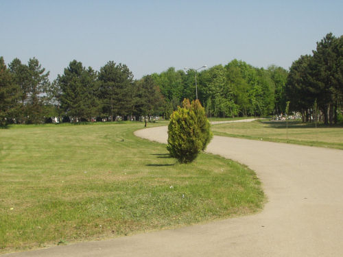 Галерија 2012