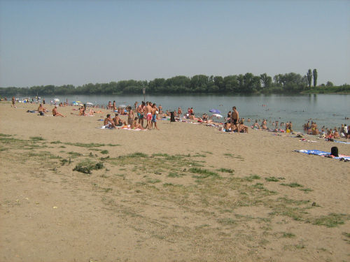 Галерија 2012