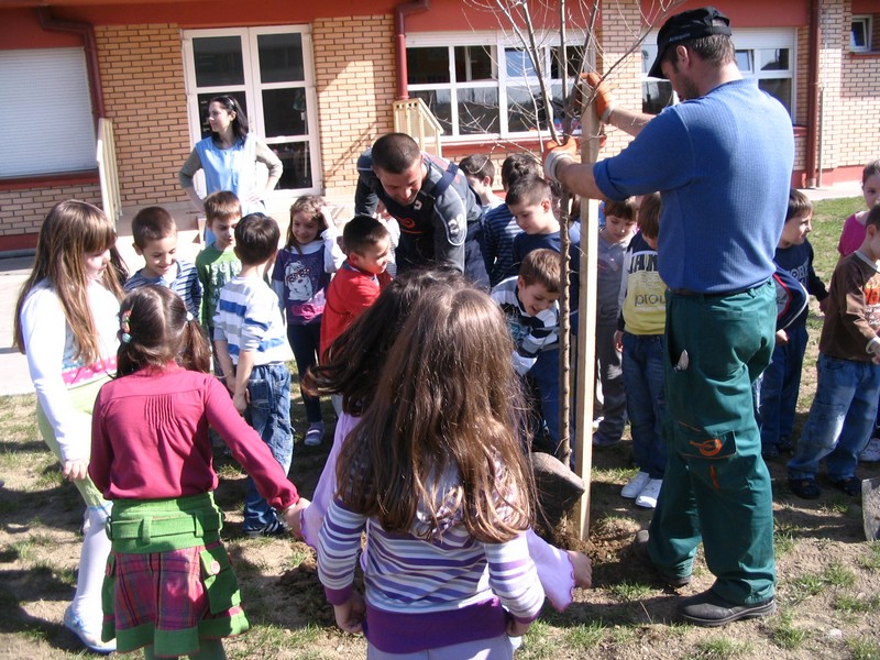 Галерија 2012