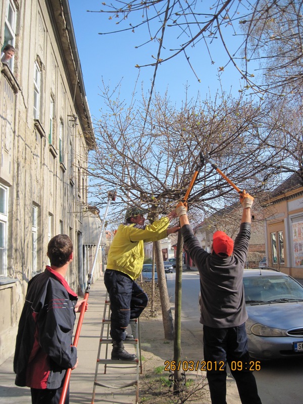 Галерија 2012
