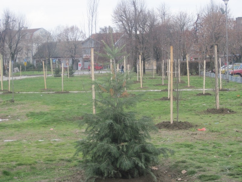 Галерија 2013