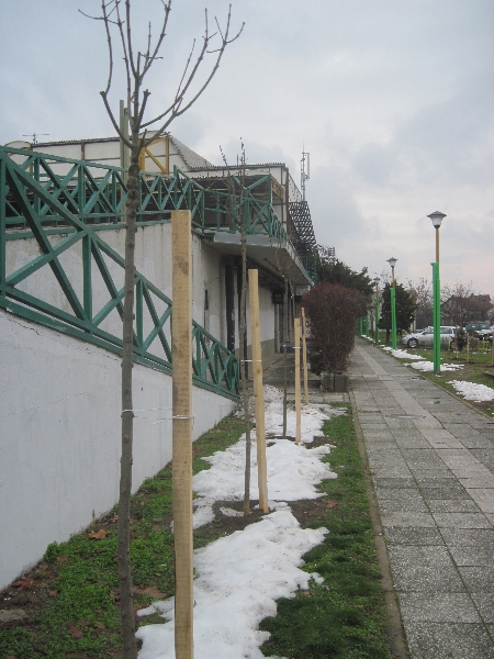 Галерија 2013