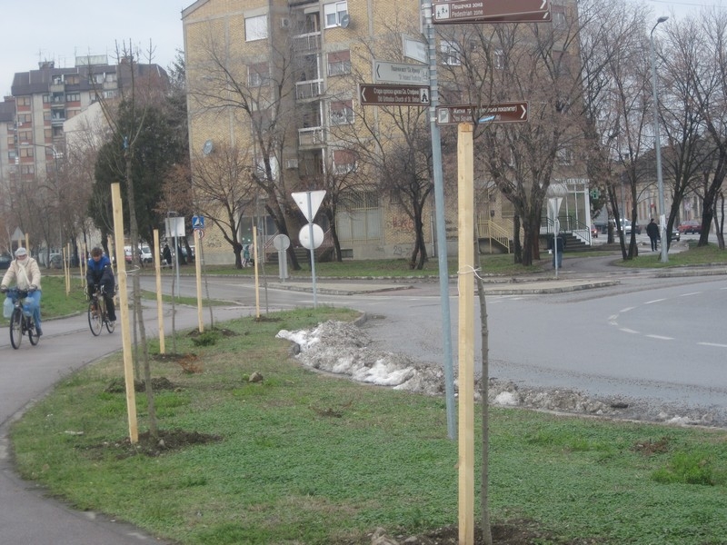 Галерија 2013
